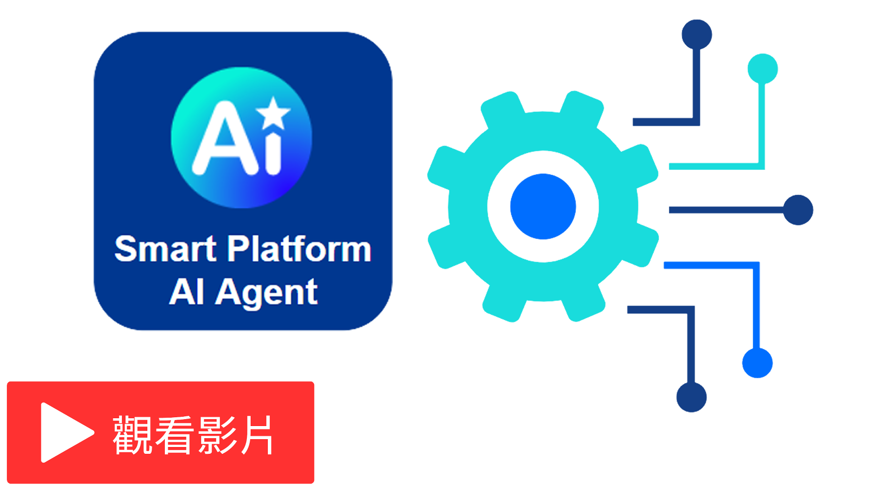 AI助理：執行Smart Platform Tools任務